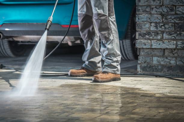 Best Fleet Vehicle Washing  in Beecher, MI