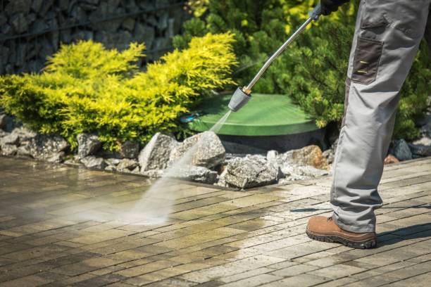 Best Roof Washing  in Beecher, MI