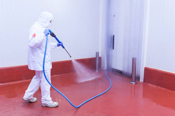 Paint Preparation in Beecher, MI