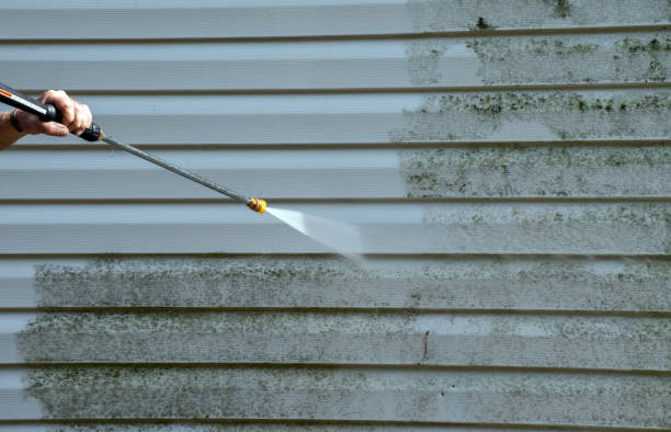 Best Driveway Pressure Washing  in Beecher, MI