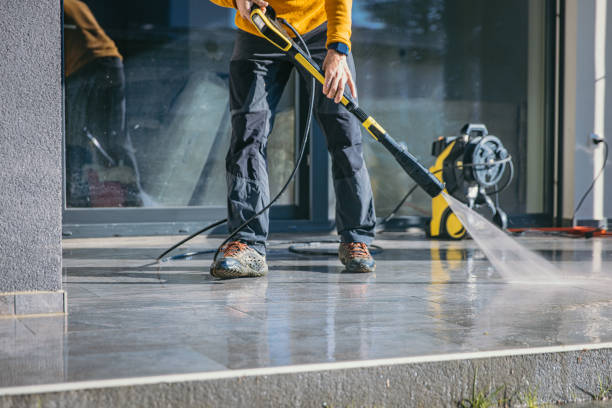 Best Roof Washing  in Beecher, MI