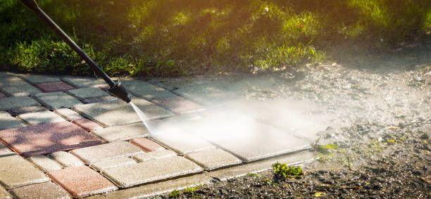 Best House Exterior Washing  in Beecher, MI